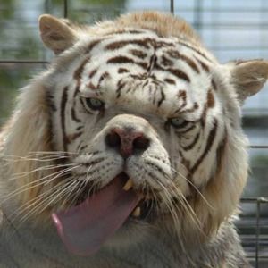 Meet your Posher, Gavin